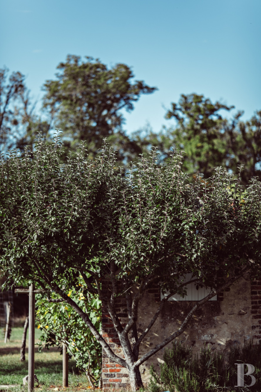 In Touraine, an hour from Paris by train, a country house available for year-round rental, with access to the services and facilities of a vast estate - photo  n°16